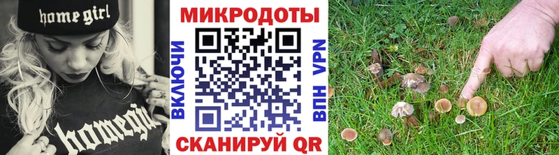 Псилоцибиновые грибы Psilocybe блэк спрут ONION Ардон